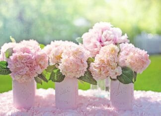 Garnitur dla świadka – jak nie przyćmić Pana Młodego?