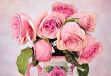 Czy cudzoziemiec może zawrzeć ślub w Polsce?