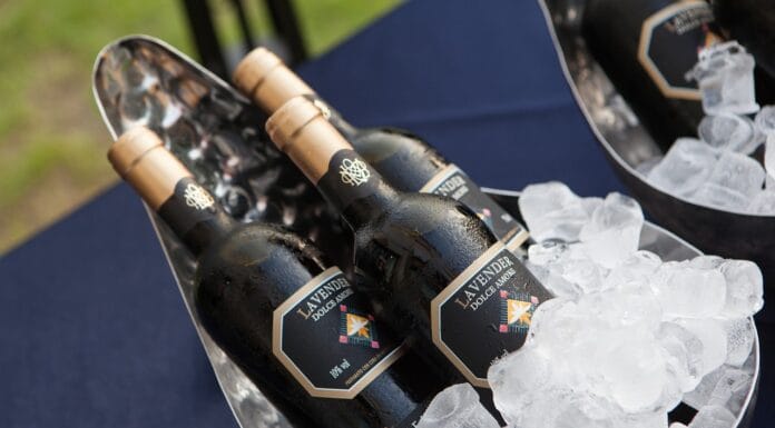 Folk i muzyka ludowa na weselu – powrót do korzeni