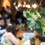 Jak radzić sobie z presją przedślubną ze strony rodziny