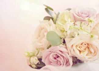 Jakie rośliny są najtrwalsze?